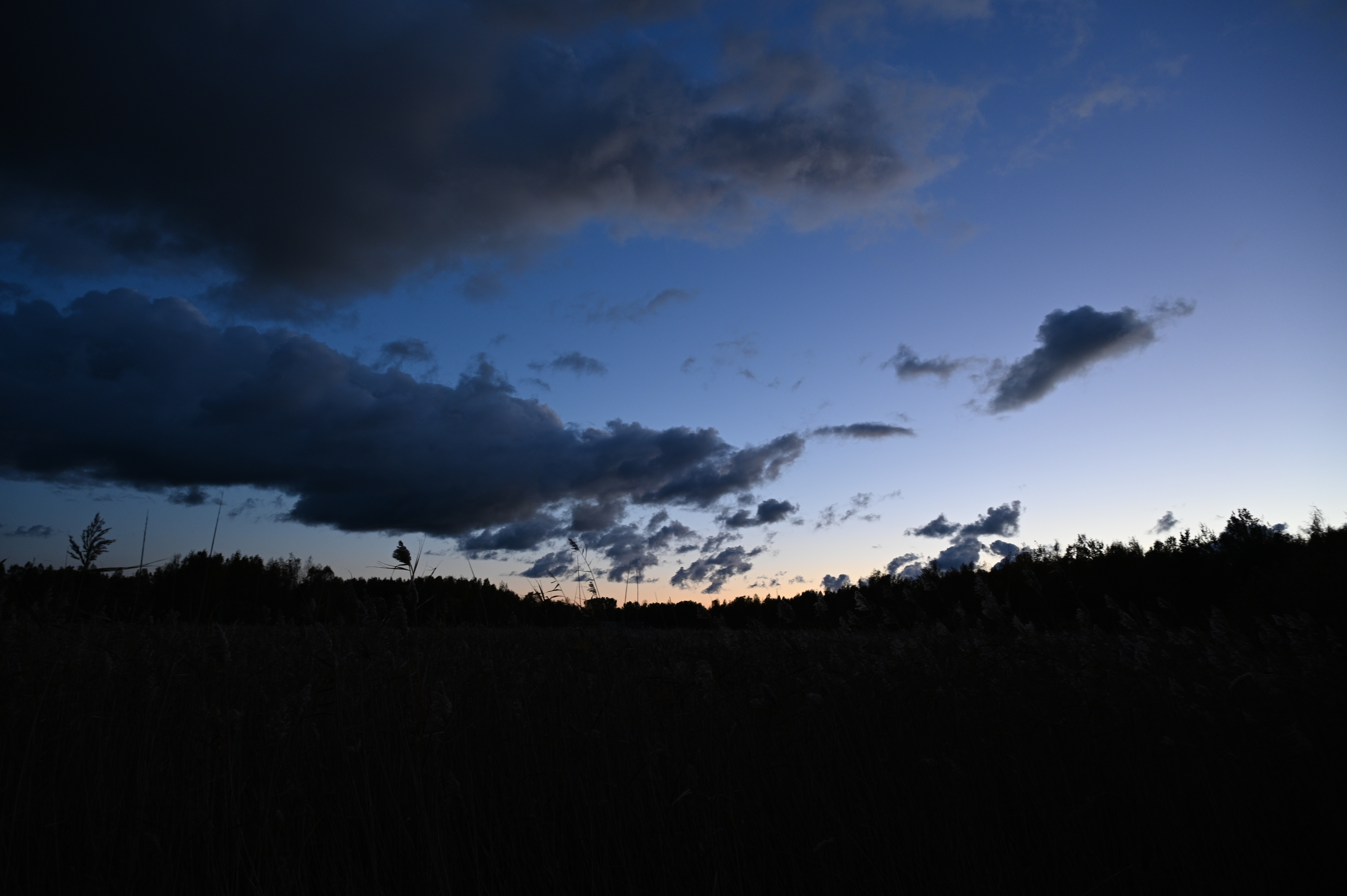 2025/10/18 - walk/DSC_0614.JPG